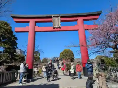 亀戸天神社(東京都)