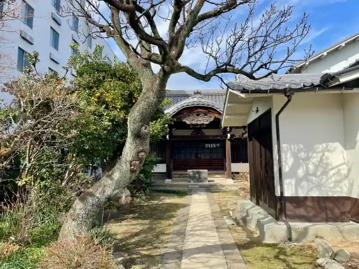 蓮乗院の{uncategorized: "未分類", other: "その他", undefined: "問題あり", building: "その他建物", grave: "お墓", sacred_gate: "鳥居", guardian: "狛犬", statue: "像", buddha: "仏像", history: "歴史", nature: "自然", garden: "庭園", animal: "動物", pagoda: "塔", temizu: "手水舎", mountain_gate: "山門・神門", sanctuary: "本殿・本堂", subordinate: "末社・摂社", art: "芸術", scenery: "景色", jizo: "地蔵", ema: "絵馬", goshuin: "御朱印", omikuji: "おみくじ", items: "授与品その他", amulet: "お守り", goshuincho: "御朱印帳", eats: "食事", festival: "お祭り", votive_dance: "神楽", shichigosan: "七五三参", wedding: "結婚式", experience: "体験その他", initially: "初詣", around: "周辺", anti_infection: "感染症対策"}