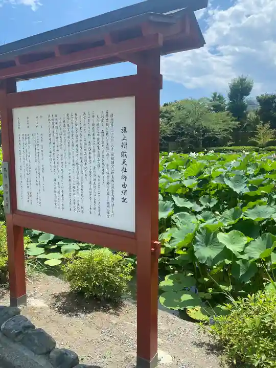 鶴岡八幡宮の歴史