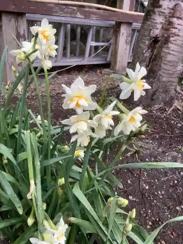 富部神社の自然