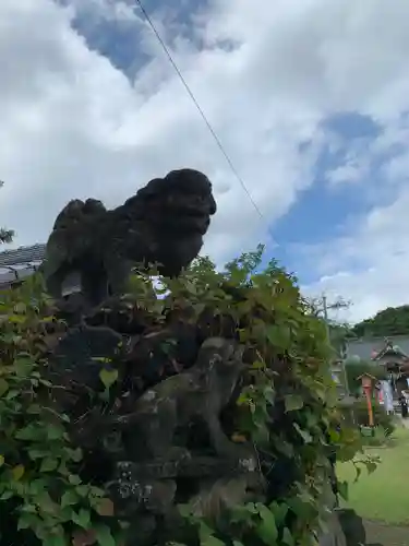 境香取神社の狛犬