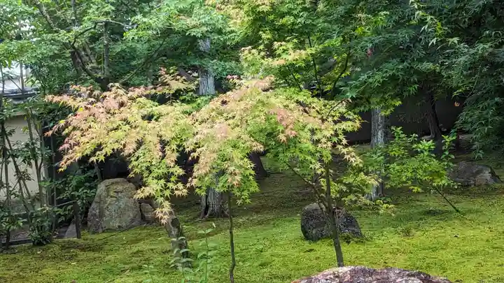 勝林寺(京都府)