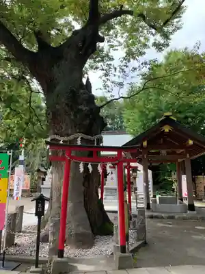 新田神社の鳥居