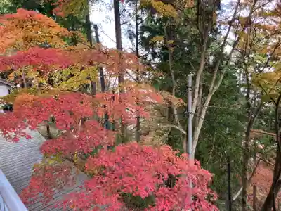 武蔵御嶽神社(東京都)
