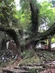 伊勢神宮内宮（皇大神宮）(三重県)