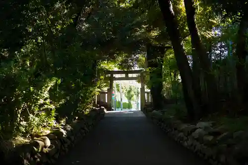 渋谷氷川神社の鳥居