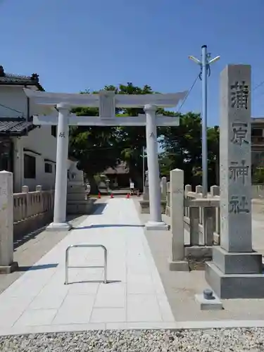 蒲原神社の鳥居