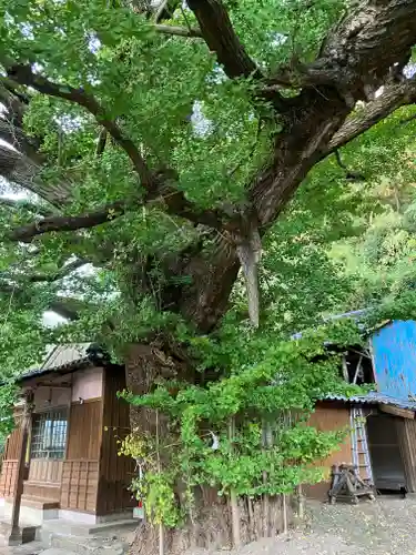 六御前神社(長崎県)