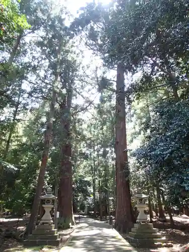 若狭彦神社（上社）の建物その他