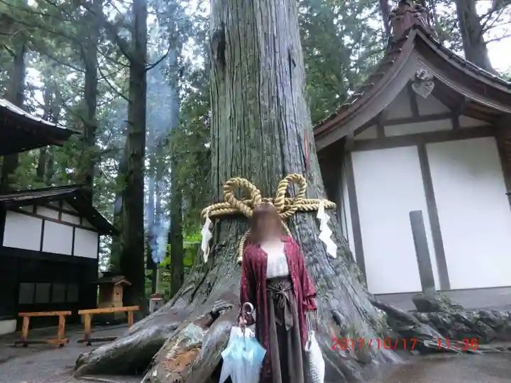 諏訪神社(北口本宮冨士浅間神社摂社)(山梨県)