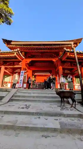 夫婦大國社（春日大社末社）(奈良県)