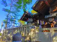 神明神社(上中町長間)の本殿・本堂