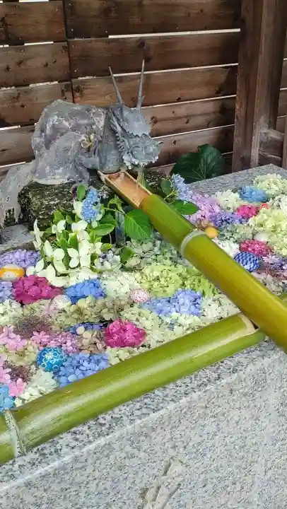 鎮守氷川神社の手水舎