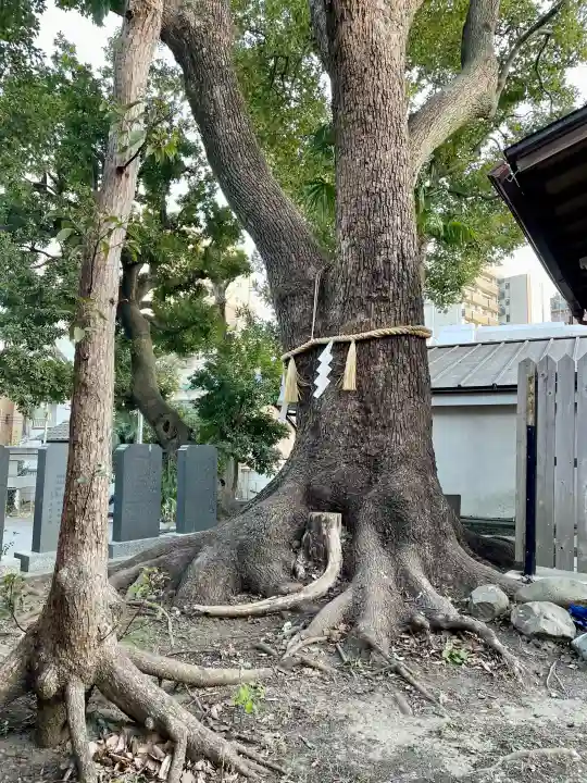 女塚神社の{uncategorized: "未分類", other: "その他", undefined: "問題あり", building: "その他建物", grave: "お墓", sacred_gate: "鳥居", guardian: "狛犬", statue: "像", buddha: "仏像", history: "歴史", nature: "自然", garden: "庭園", animal: "動物", pagoda: "塔", temizu: "手水舎", mountain_gate: "山門・神門", sanctuary: "本殿・本堂", subordinate: "末社・摂社", art: "芸術", scenery: "景色", jizo: "地蔵", ema: "絵馬", goshuin: "御朱印", omikuji: "おみくじ", items: "授与品その他", amulet: "お守り", goshuincho: "御朱印帳", eats: "食事", festival: "お祭り", votive_dance: "神楽", shichigosan: "七五三参", wedding: "結婚式", experience: "体験その他", initially: "初詣", around: "周辺", anti_infection: "感染症対策"}