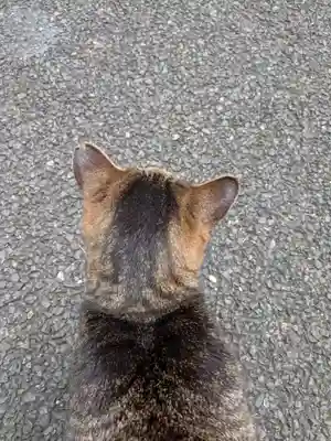 白金氷川神社(東京都)
