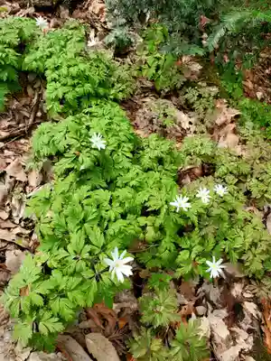 磐椅神社(福島県)
