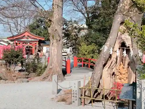 秩父今宮神社(埼玉県)