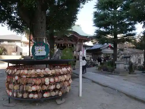 今戸神社の絵馬