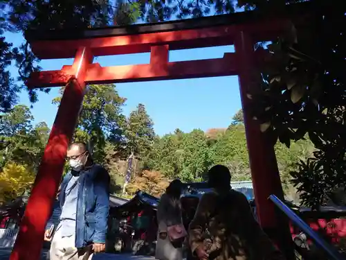 箱根神社の鳥居