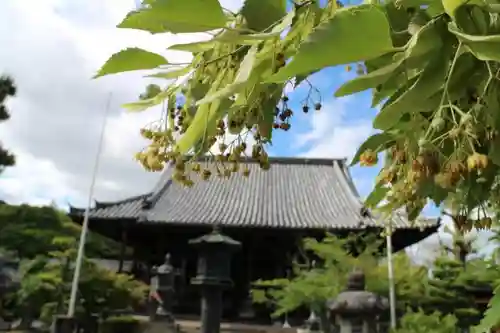 穴太寺の本殿