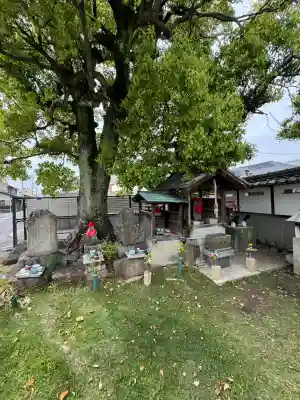 清学寺の{uncategorized: "未分類", other: "その他", undefined: "問題あり", building: "その他建物", grave: "お墓", sacred_gate: "鳥居", guardian: "狛犬", statue: "像", buddha: "仏像", history: "歴史", nature: "自然", garden: "庭園", animal: "動物", pagoda: "塔", temizu: "手水舎", mountain_gate: "山門・神門", sanctuary: "本殿・本堂", subordinate: "末社・摂社", art: "芸術", scenery: "景色", jizo: "地蔵", ema: "絵馬", goshuin: "御朱印", omikuji: "おみくじ", items: "授与品その他", amulet: "お守り", goshuincho: "御朱印帳", eats: "食事", festival: "お祭り", votive_dance: "神楽", shichigosan: "七五三参", wedding: "結婚式", experience: "体験その他", initially: "初詣", around: "周辺", anti_infection: "感染症対策"}