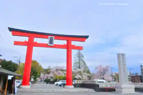 富士山本宮浅間大社(静岡県)