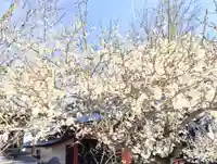 花園神社(東京都)