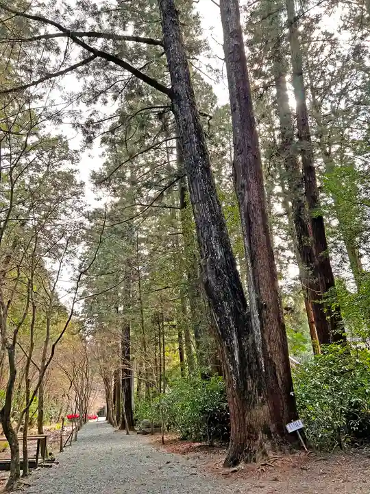 小國神社のその他建物