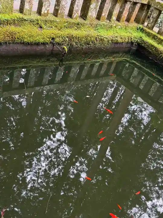 室生寺(奈良県)