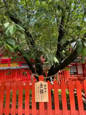 金櫻神社(山梨県)