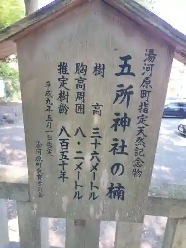 五所神社(神奈川県)
