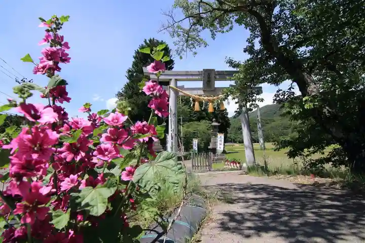 高司神社〜むすびの神の鎮まる社〜の鳥居