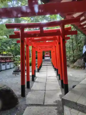 來宮神社(静岡県)