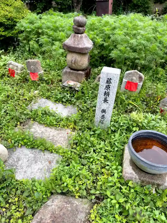 般若寺 ❁コスモス寺❁(奈良県)