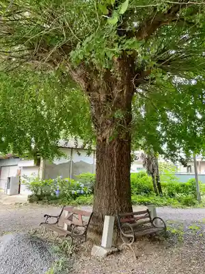 寳光院(栃木県)