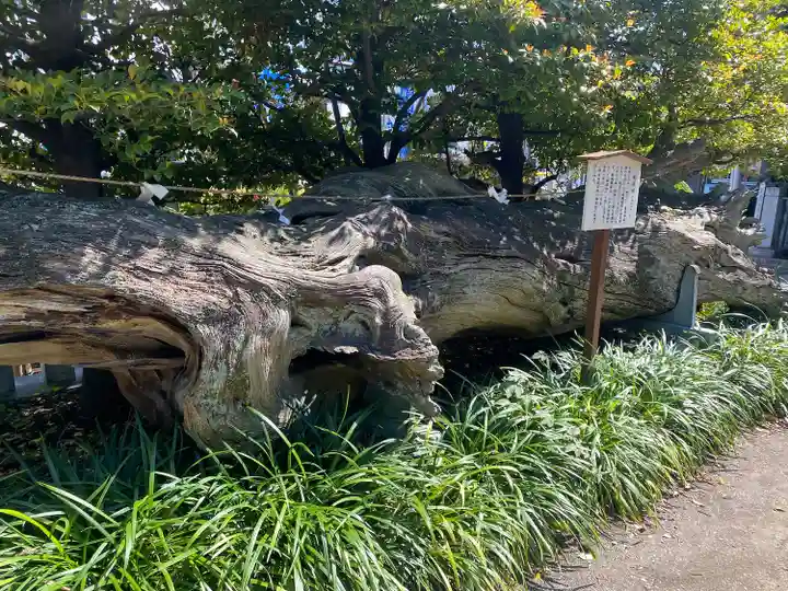 瀬戸神社の自然
