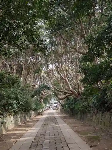酒列磯前神社(茨城県)