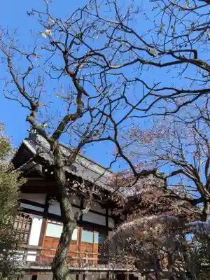 高円寺(東京都)
