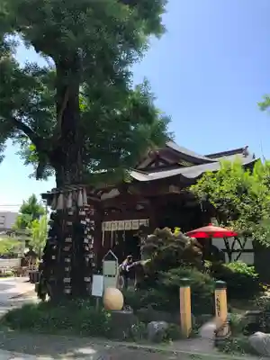 素盞雄神社(東京都)