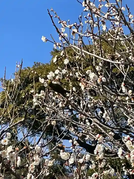 長谷寺の{uncategorized: "未分類", other: "その他", undefined: "問題あり", building: "その他建物", grave: "お墓", sacred_gate: "鳥居", guardian: "狛犬", statue: "像", buddha: "仏像", history: "歴史", nature: "自然", garden: "庭園", animal: "動物", pagoda: "塔", temizu: "手水舎", mountain_gate: "山門・神門", sanctuary: "本殿・本堂", subordinate: "末社・摂社", art: "芸術", scenery: "景色", jizo: "地蔵", ema: "絵馬", goshuin: "御朱印", omikuji: "おみくじ", items: "授与品その他", amulet: "お守り", goshuincho: "御朱印帳", eats: "食事", festival: "お祭り", votive_dance: "神楽", shichigosan: "七五三参", wedding: "結婚式", experience: "体験その他", initially: "初詣", around: "周辺", anti_infection: "感染症対策"}