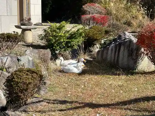 嶽之下宮(静岡県)