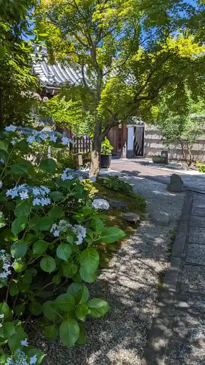 長興院(京都府)