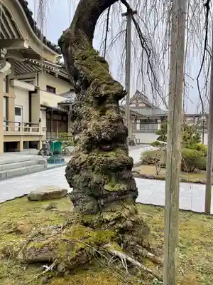 蓮香院(宮城県)