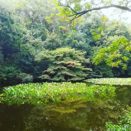 明治神宮の庭園