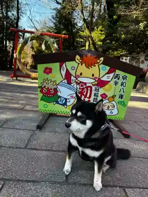 冠稲荷神社の{uncategorized: "未分類", other: "その他", undefined: "問題あり", building: "その他建物", grave: "お墓", sacred_gate: "鳥居", guardian: "狛犬", statue: "像", buddha: "仏像", history: "歴史", nature: "自然", garden: "庭園", animal: "動物", pagoda: "塔", temizu: "手水舎", mountain_gate: "山門・神門", sanctuary: "本殿・本堂", subordinate: "末社・摂社", art: "芸術", scenery: "景色", jizo: "地蔵", ema: "絵馬", goshuin: "御朱印", omikuji: "おみくじ", items: "授与品その他", amulet: "お守り", goshuincho: "御朱印帳", eats: "食事", festival: "お祭り", votive_dance: "神楽", shichigosan: "七五三参", wedding: "結婚式", experience: "体験その他", initially: "初詣", around: "周辺", anti_infection: "感染症対策"}