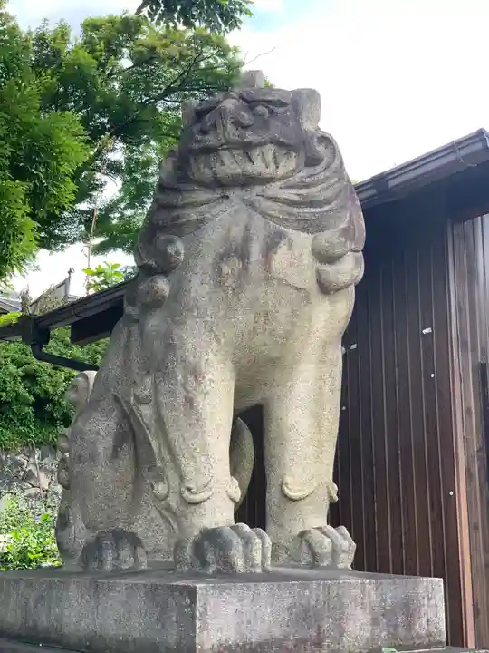 京都霊山護國神社の狛犬