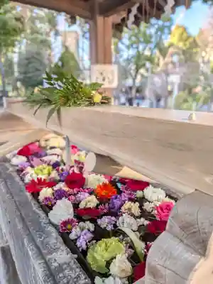 鳩森八幡神社(東京都)