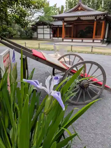 阿佐ヶ谷神明宮(東京都)