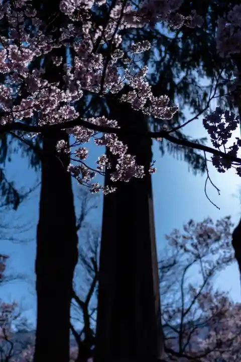 新城藤原神社(長野県)