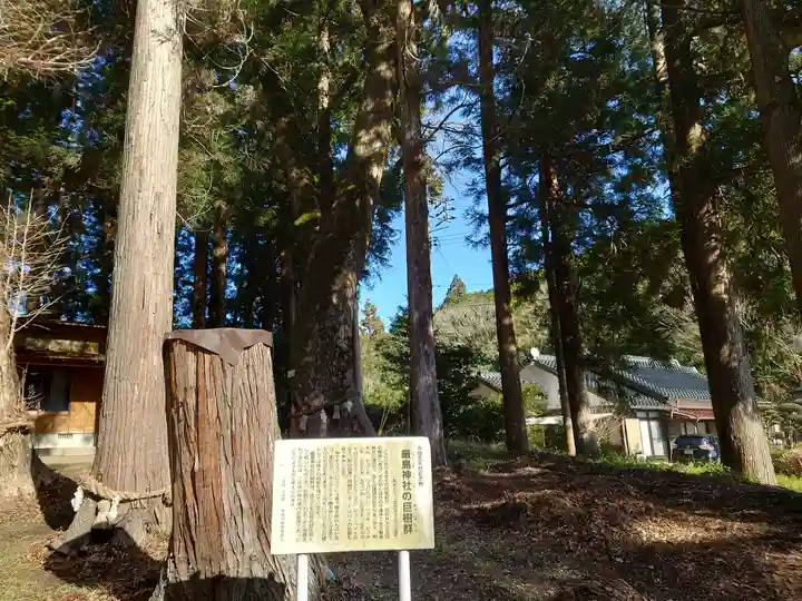 嚴島神社(山口県)